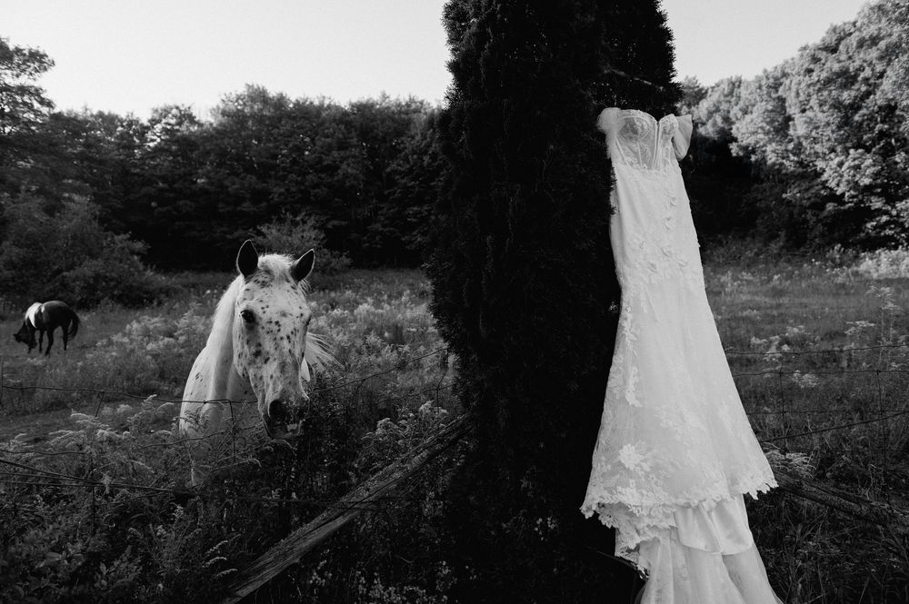 Ethereal black and white photos of a wedding dress displayed in a natural outdoor setting.