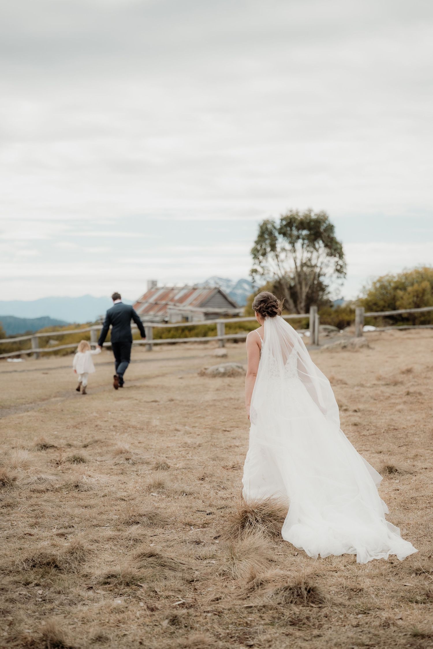 A couple walks across a scenic hilltop meadow with their dog as a wedding veil trails behind in the breeze.
