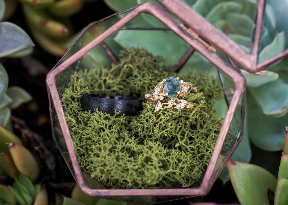 Wedding rings displayed on moss inside a geometric glass terrarium surrounded by succulents.