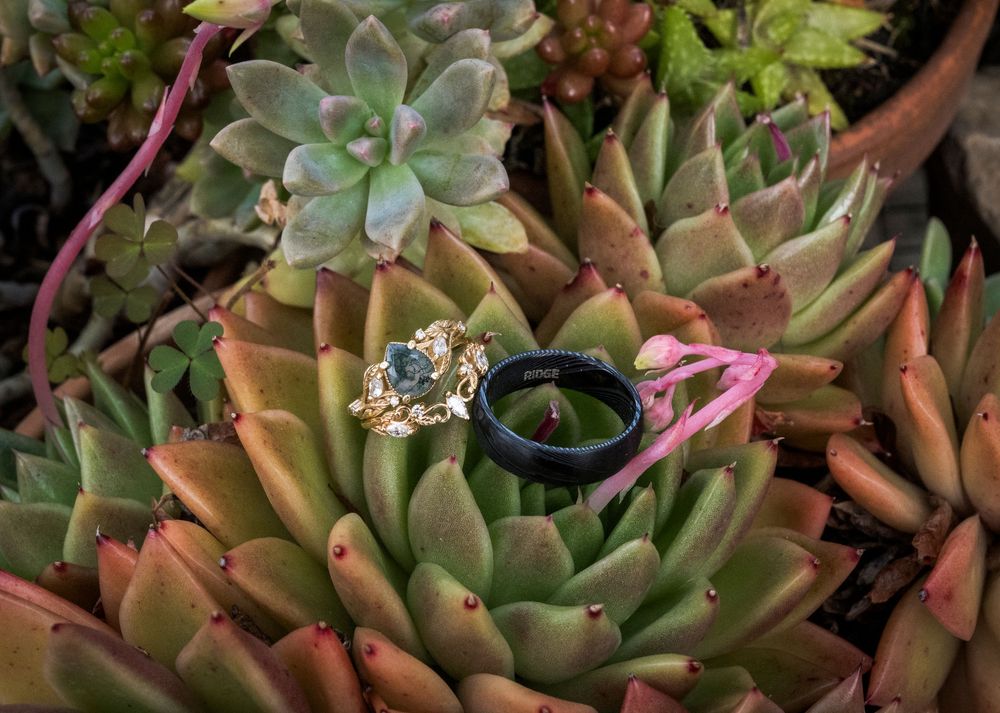 Wedding rings displayed on succulent plants, featuring a blue gemstone gold ring and black band.