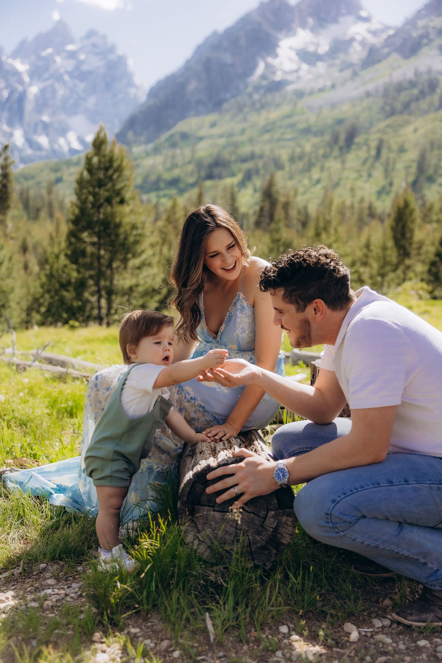 Family enjoying a picnic in a meadow with dramatic mountain peaks and evergreen forest in the background.