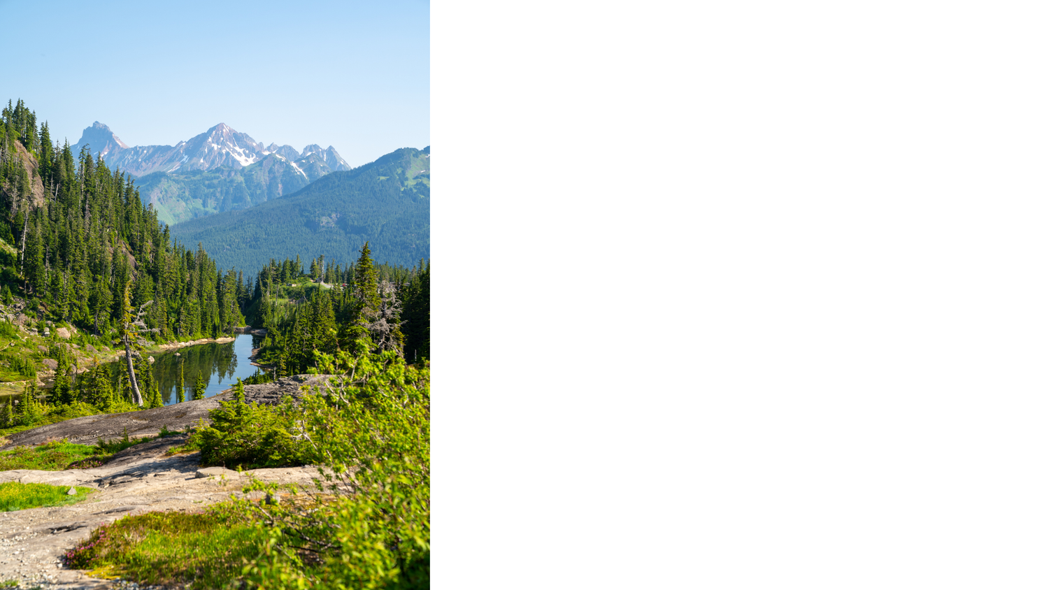 A scenic mountain road winds through evergreen forests and snow-capped peaks in Mt. Baker Scenic Highway at Heather Meadows