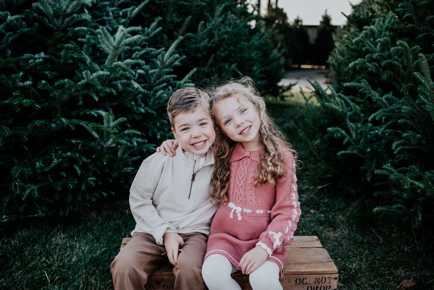 Siblings posed together during Christmas Tree Farm photoshoot.