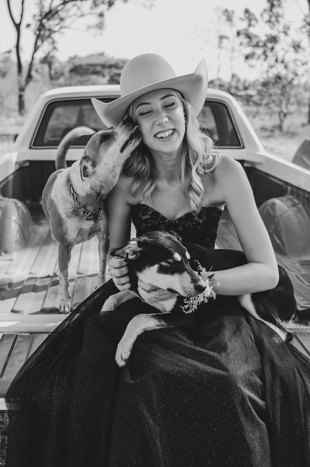 Black and white photo showing playful interaction with dogs in pickup truck bed.