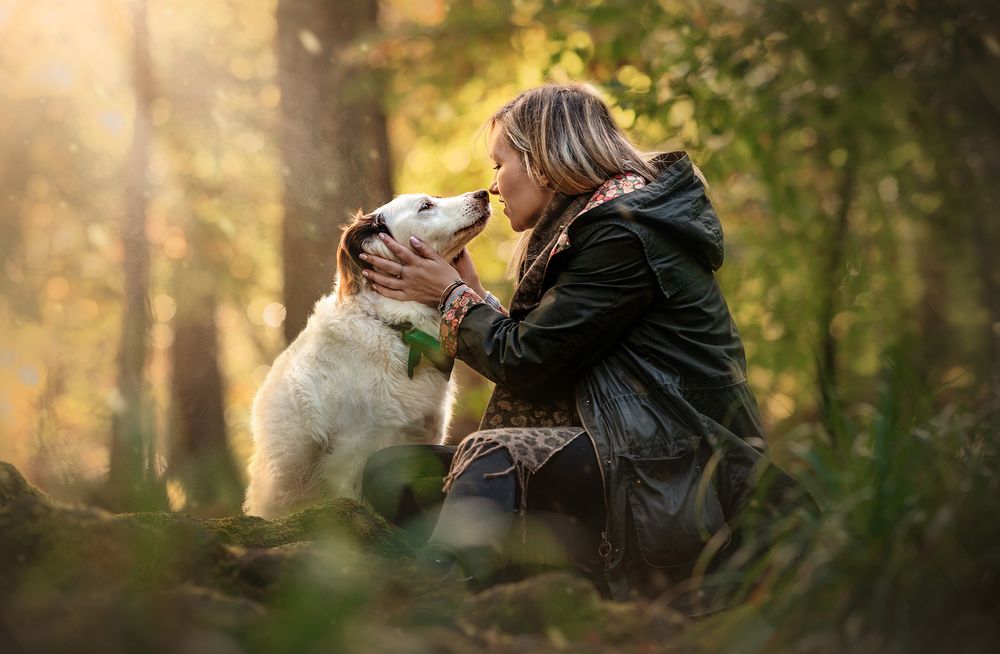Dog photography Manchester, Cheshire