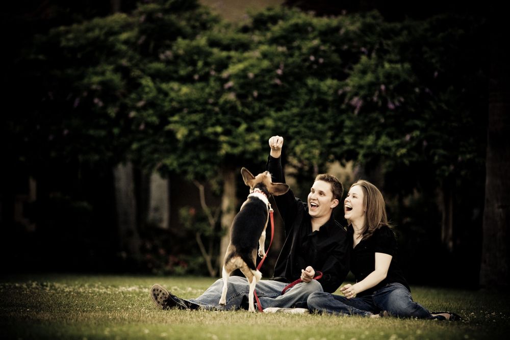 A group of friends relaxing and laughing together while sitting on grass in a park on a sunny day.