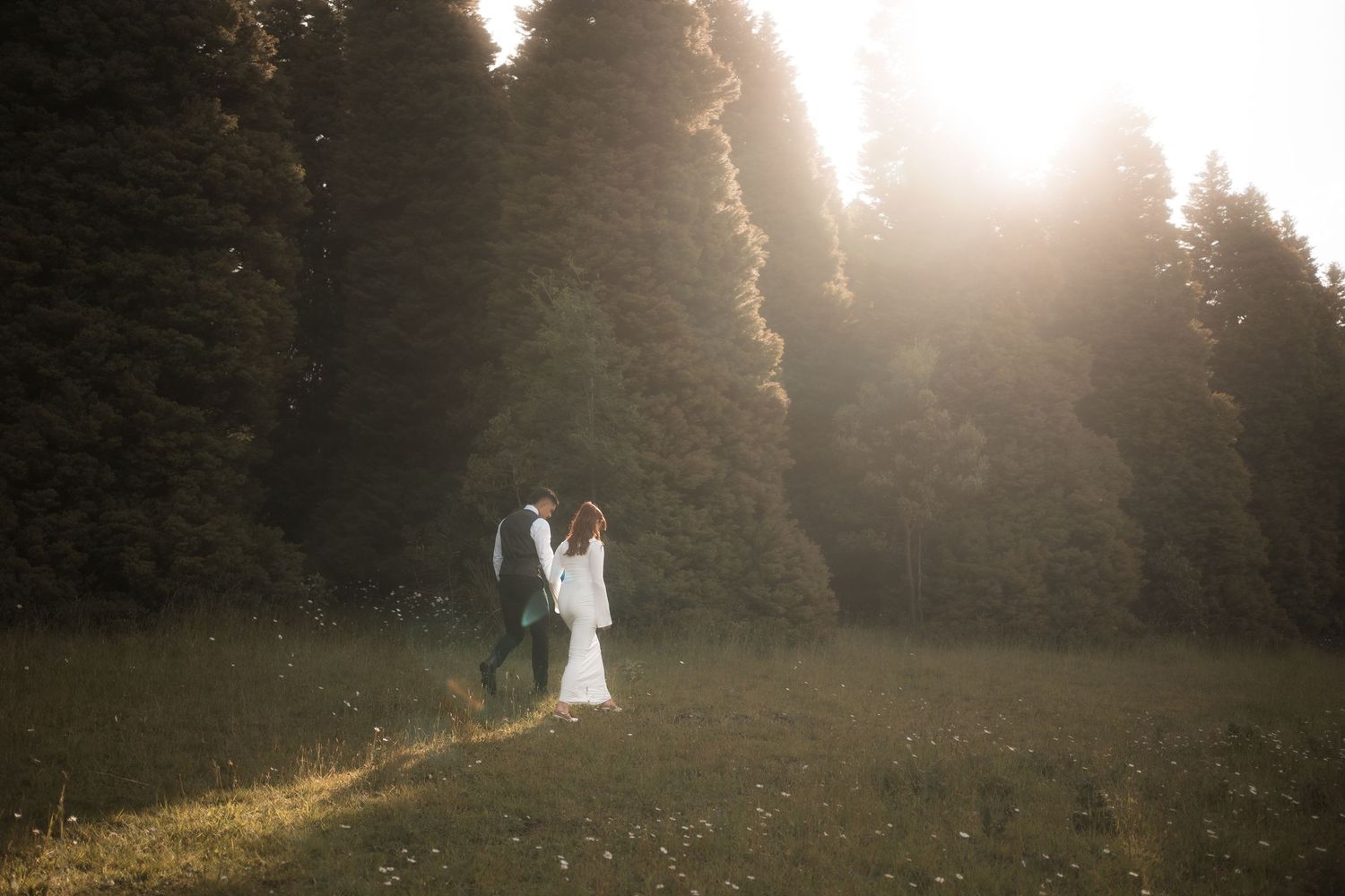 A couple stands in a sunlit meadow during golden hour as sunbeams filter through trees in a romantic outdoor setting.