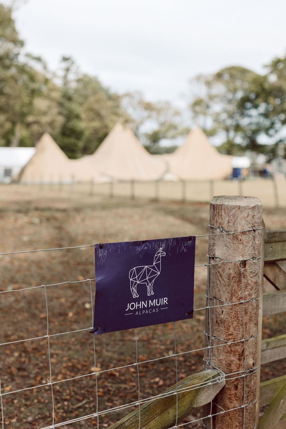 Purple John Muir trail signs mounted on rustic wooden fence posts in a natural outdoor setting.