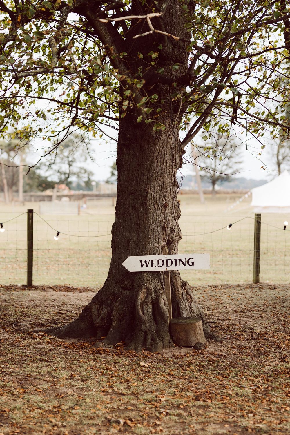 A rustic wooden wedding directional sign points the way under large autumn trees with fallen leaves on the ground.