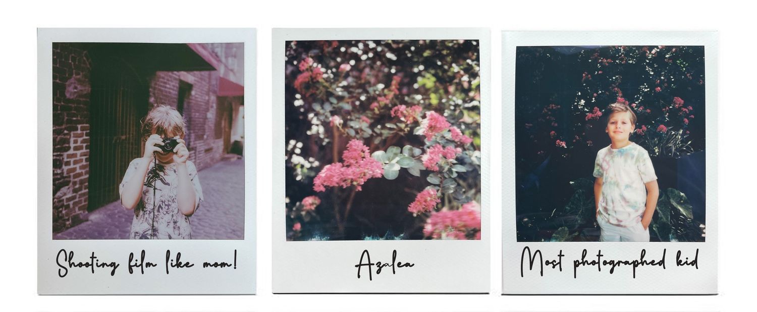 A collection of small thumbnail images arranged in a horizontal row showing various outdoor scenes and floral elements.