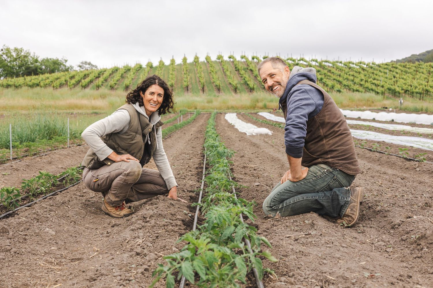 Farmers working in rows of organic crops on a sustainable farm during spring planting season.