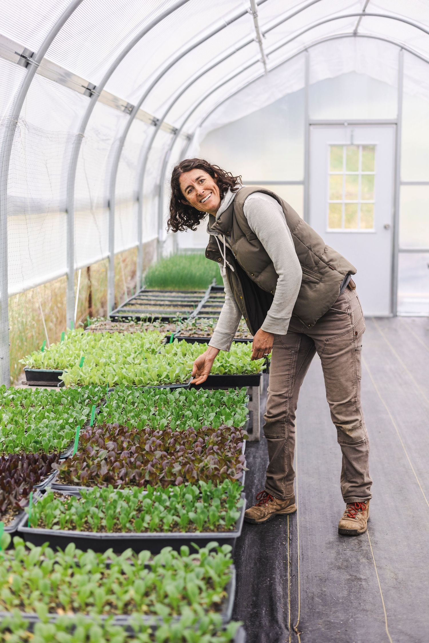 Worker tends to young plants growing in trays inside a large commercial greenhouse with curved white roof.