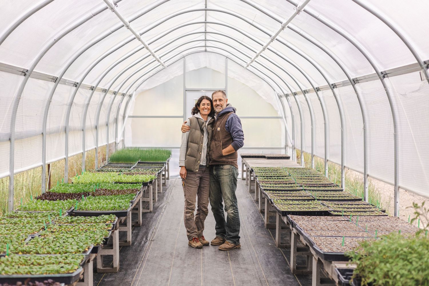 Inside a greenhouse with long rows of seedlings and plants growing on raised benches under natural light.