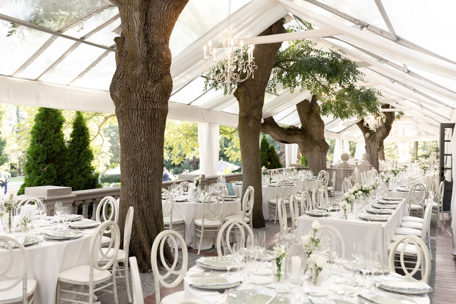 Elegant white wedding reception tent with round tables, white chairs, and natural tree elements incorporated into the decor.