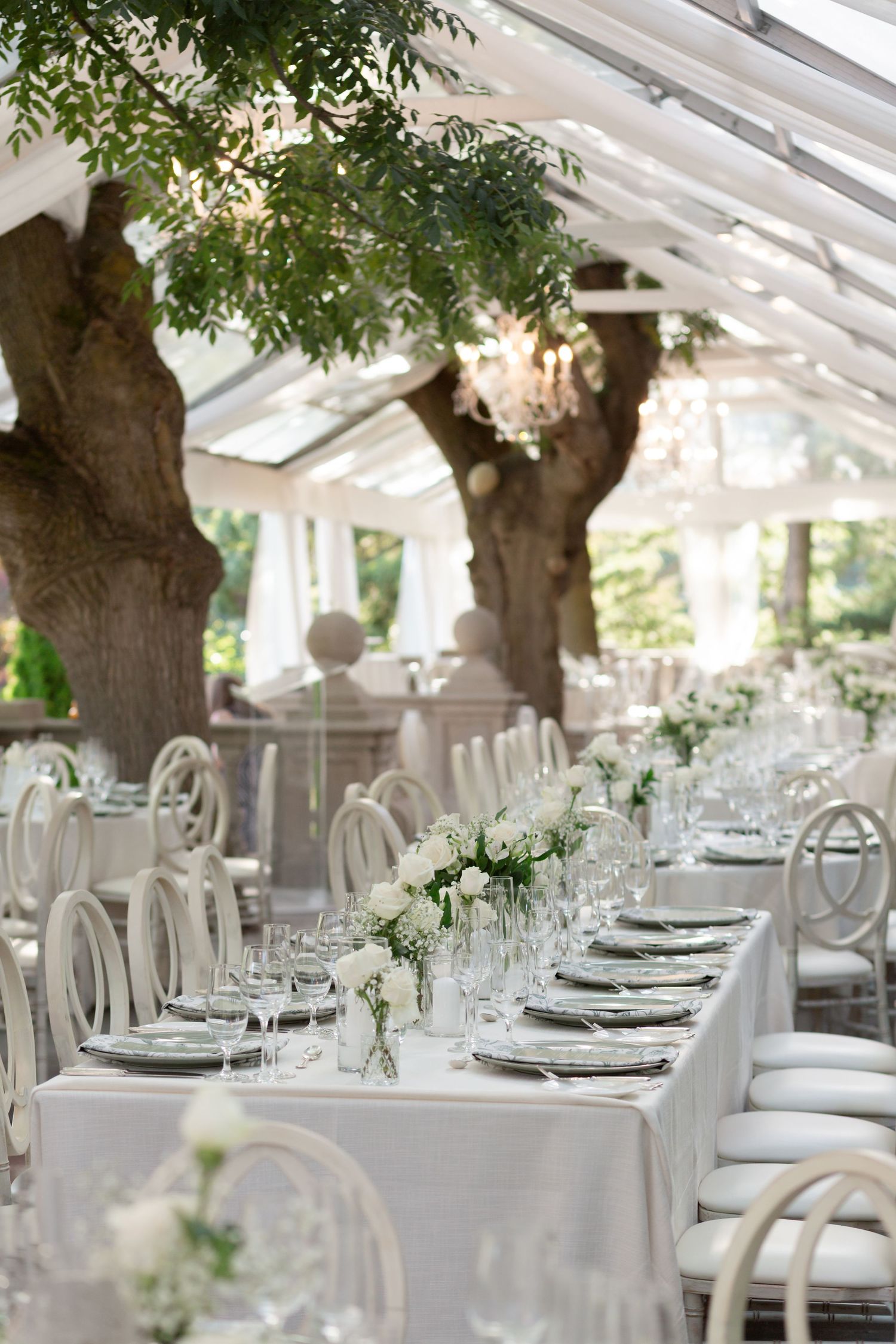 Elegant outdoor wedding reception setup with long tables under trees and white canopy featuring white chairs and place settings.