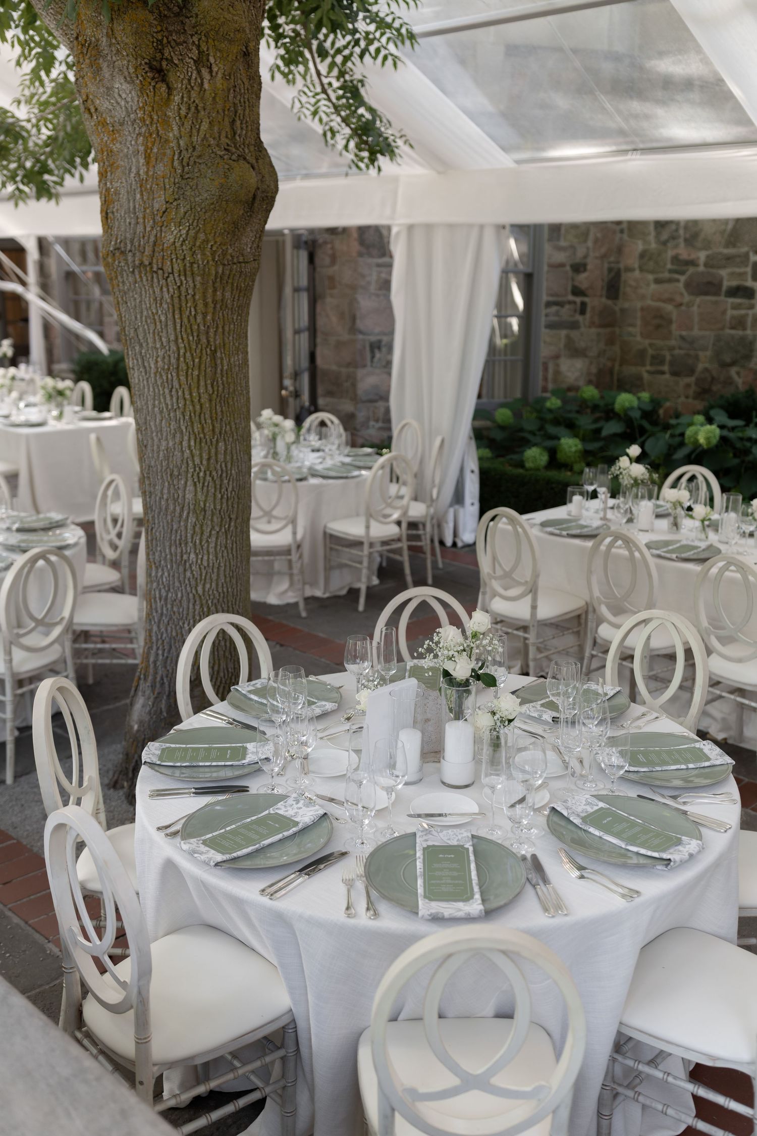 Elegant white wedding reception tables with tree trunks growing through the dining space feature crisp place settings.