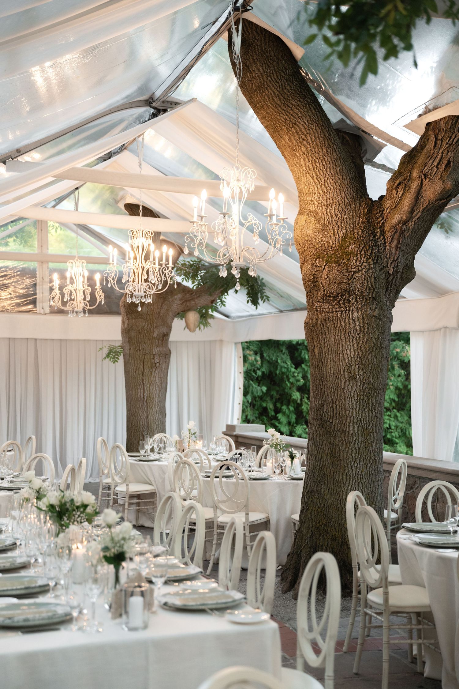 Elegant wedding reception setup in a clear tent with tree trunks, crystal chandeliers, and white table settings.