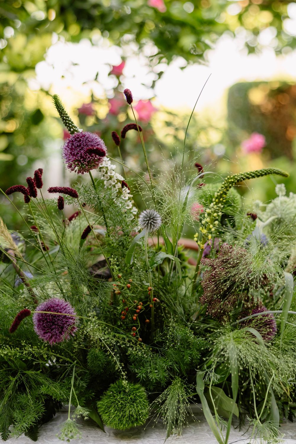 Purple allium flowers and delicate green foliage create a natural garden arrangement with soft bokeh background.