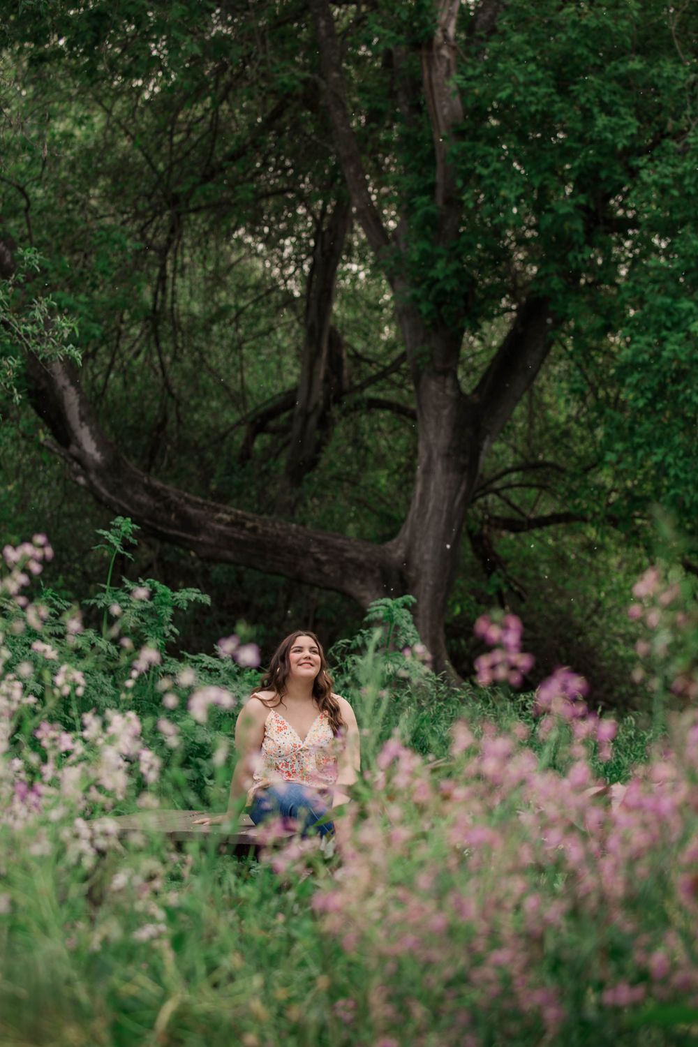 Pink wildflowers bloom in the foreground of a wooded forest scene with soft natural lighting filtering through trees.