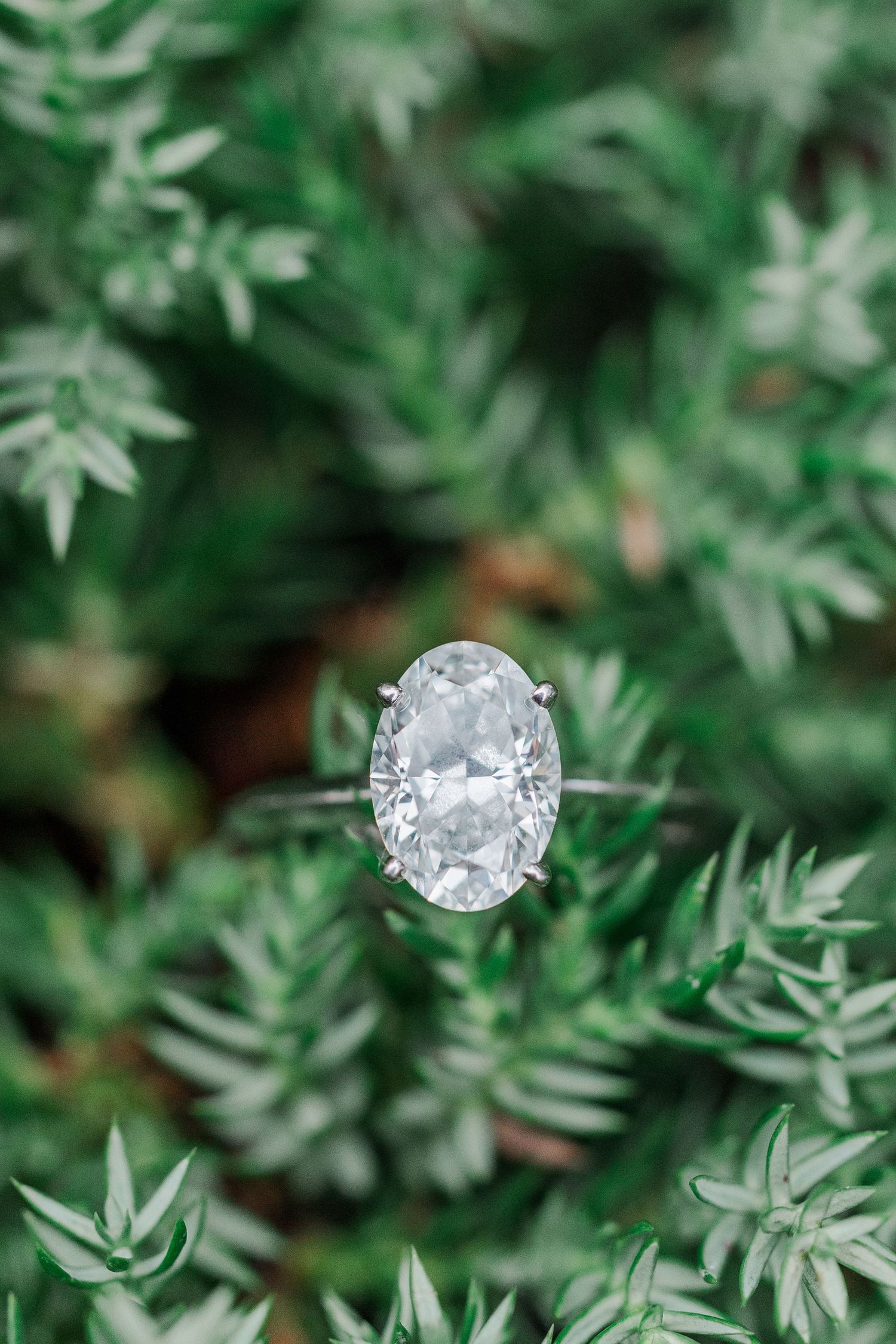 Three sparkling round diamond solitaires displayed against a soft green foliage background.