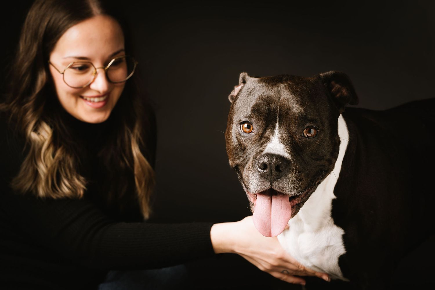 Fotografo animali Verona, Foto cane in studio fotografico. Ritratto amico a quattro zampe
