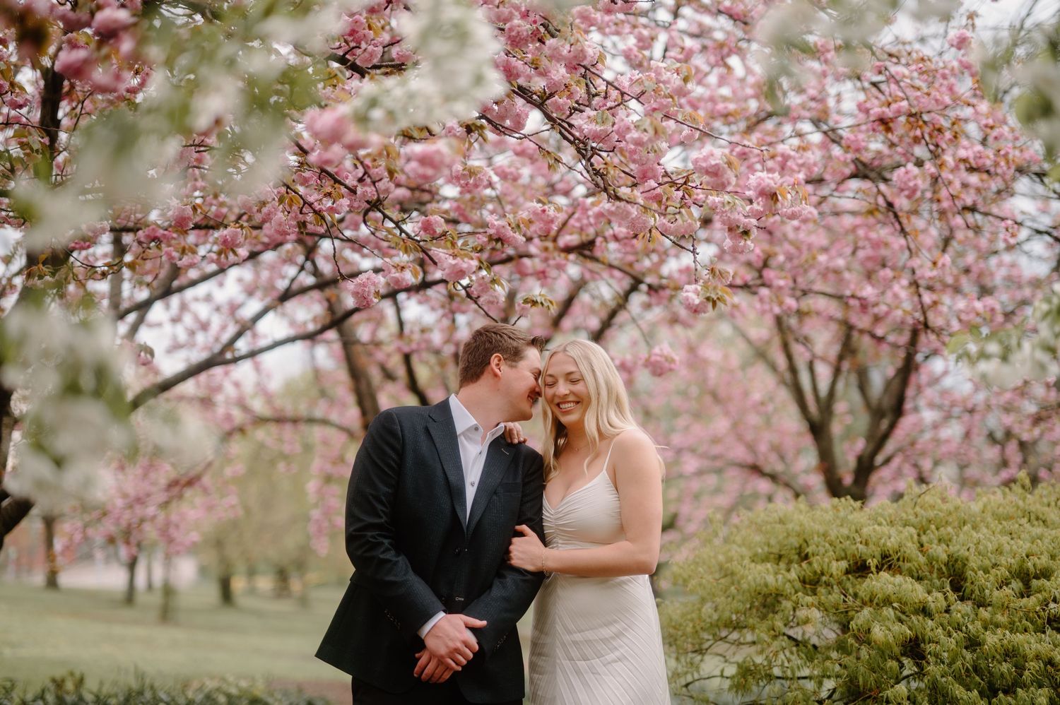 A couple embraces under blooming pink cherry blossom trees during a spring photo session in Cincinnati OH by K Herman Photography