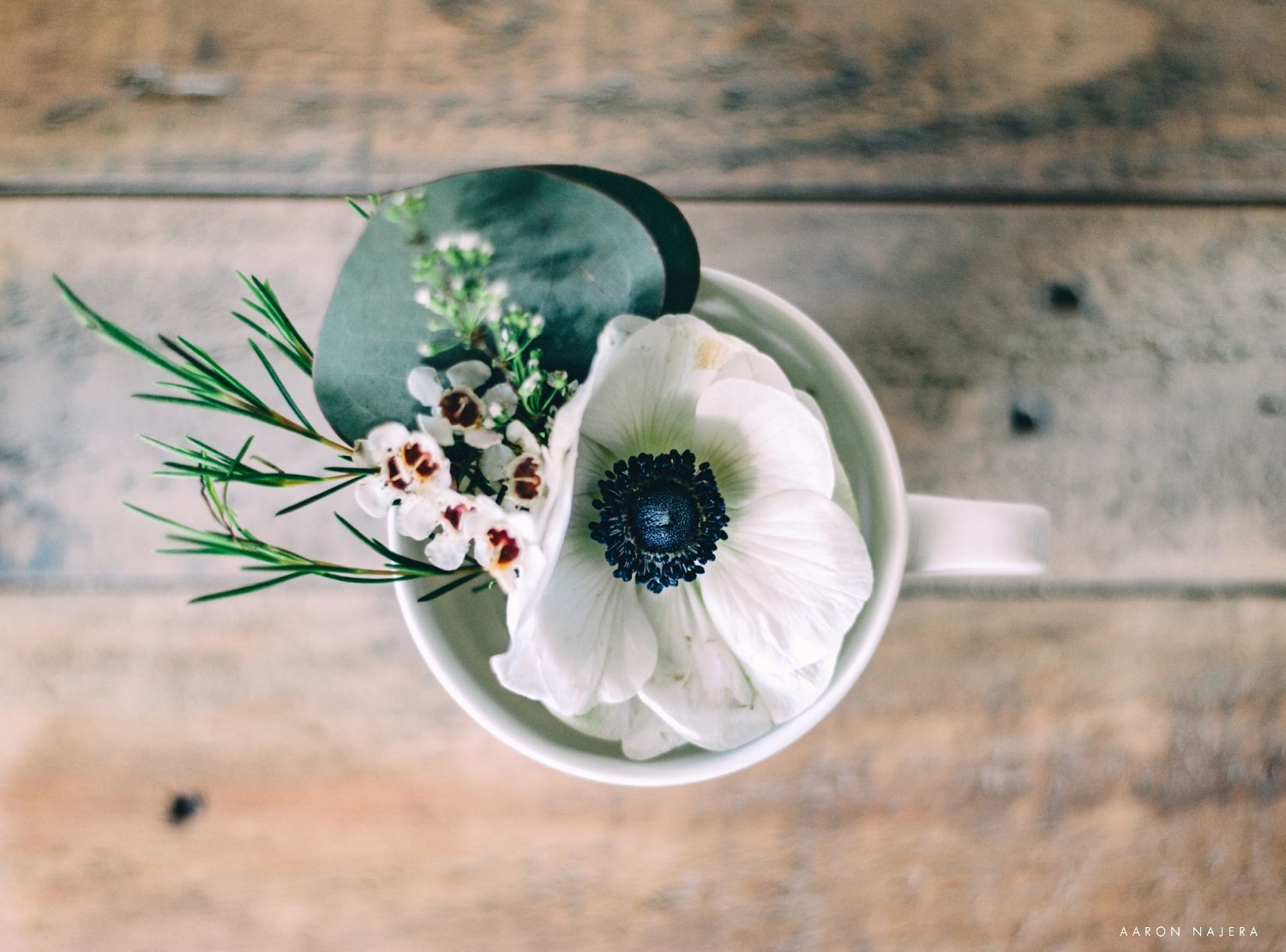 Overhead view of a white anemone flower with greenery in a ceramic cup.