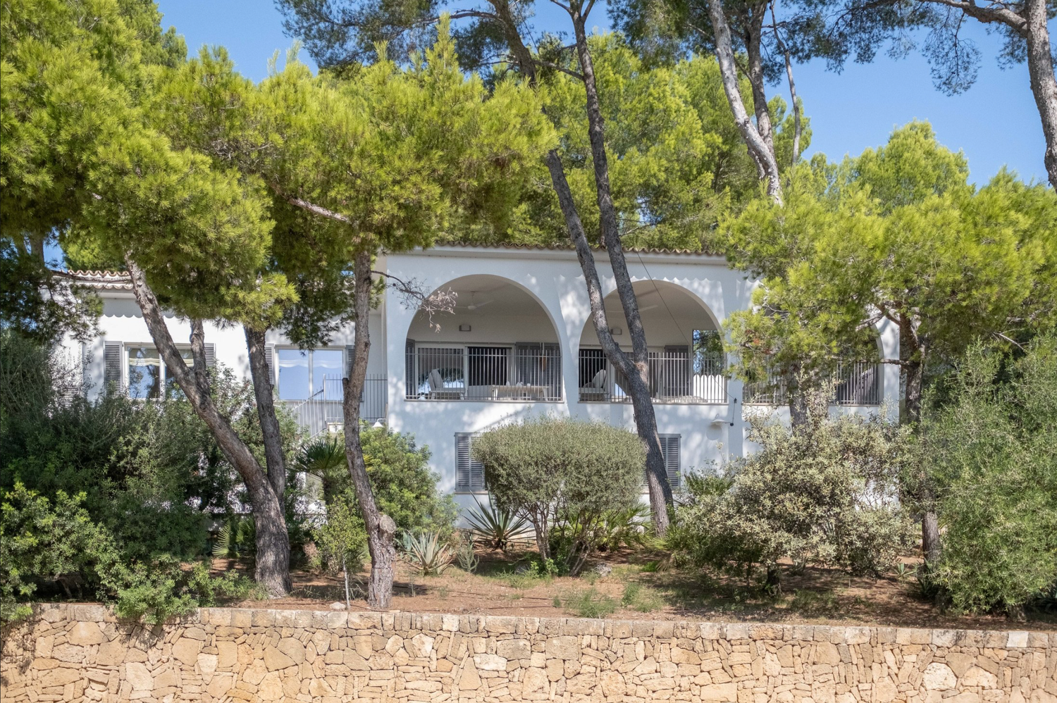A panoramic view of a Mediterranean coastal landscape with pine trees and stone walls along a sunny path.