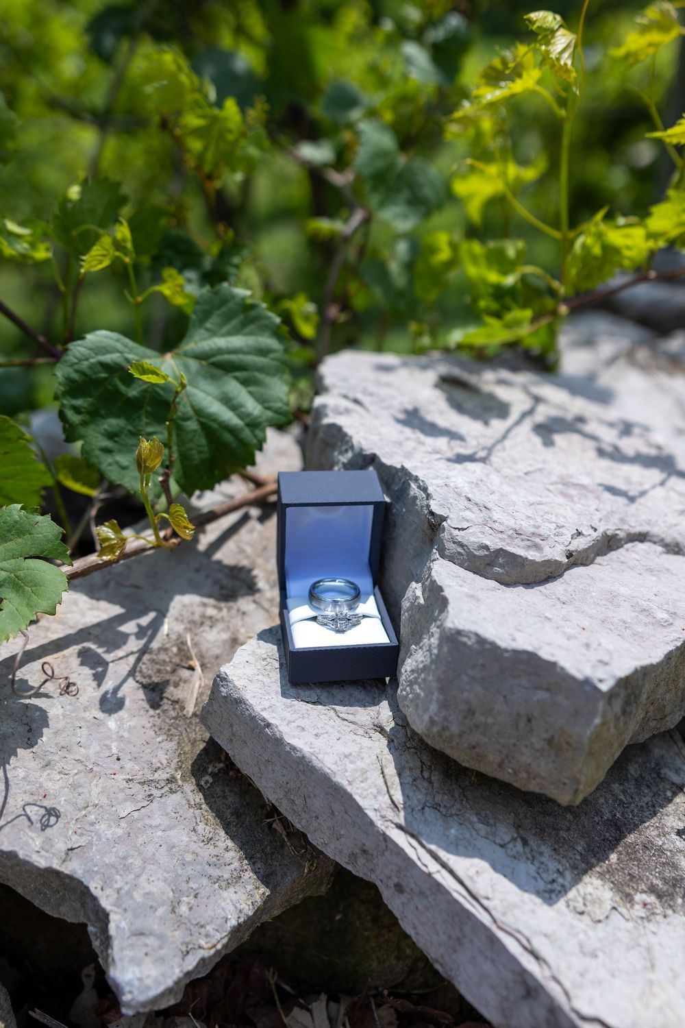 Diamond engagement ring in black box displayed on stone wall surrounded by greenery.
