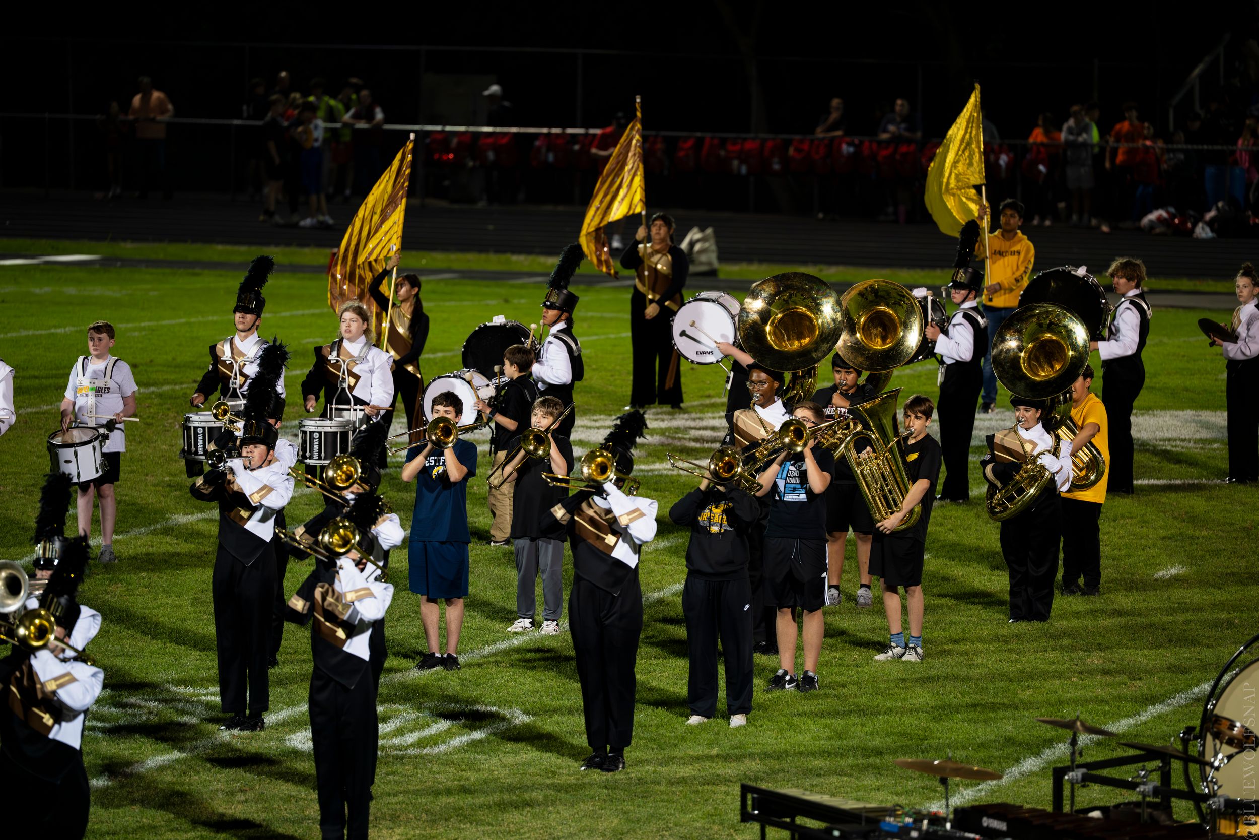High school marching band performs on football field at night, wearing black and gold uniforms with colorful flags.