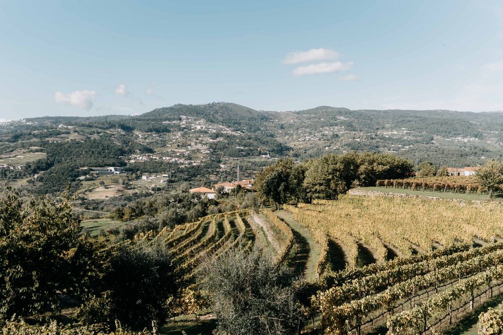 Rolling vineyard terraces stretch across hillsides in a scenic Mediterranean landscape under blue skies.