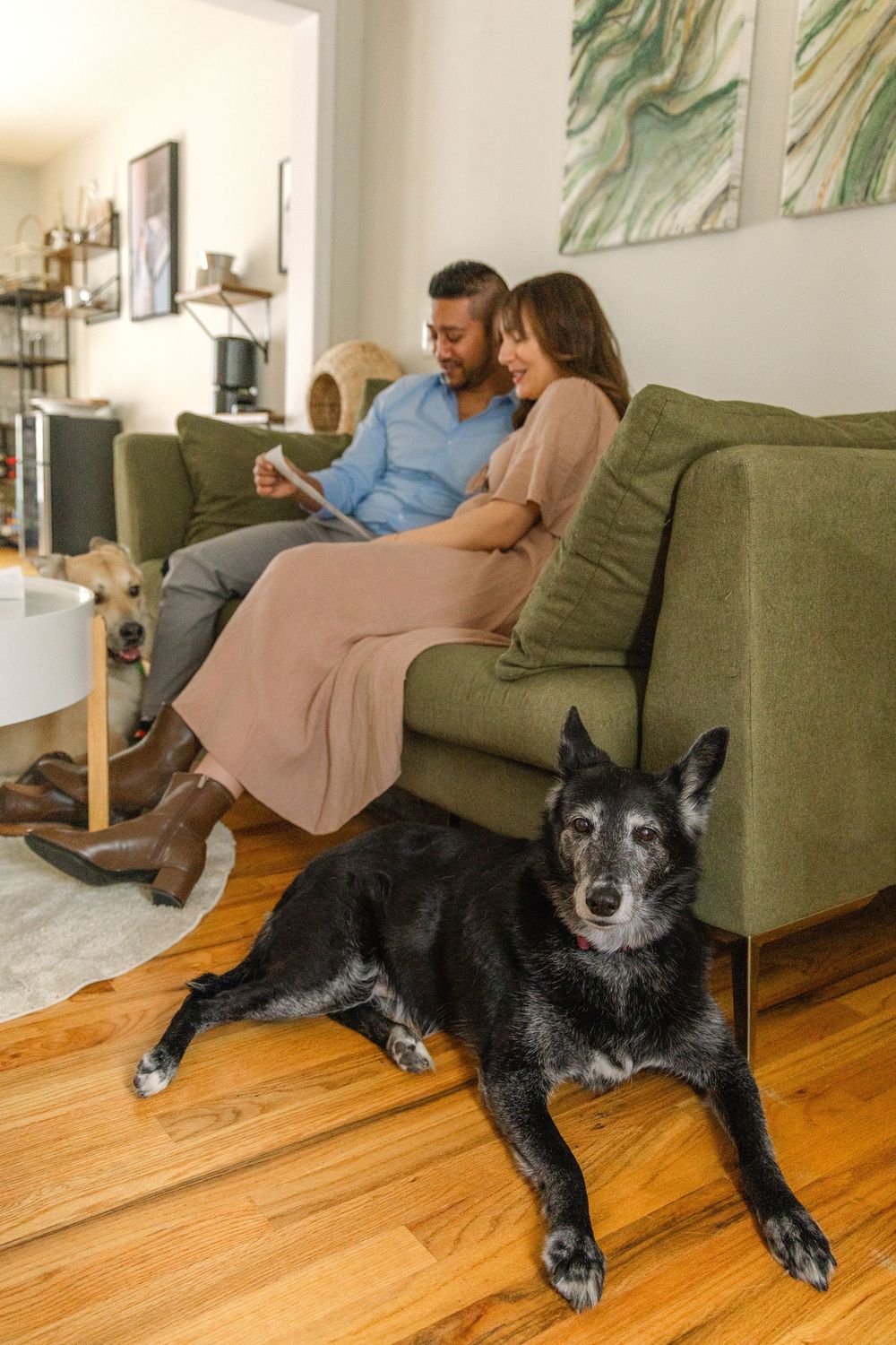 Couple relaxes on green couch while black dog lounges on hardwood floor in cozy living room.