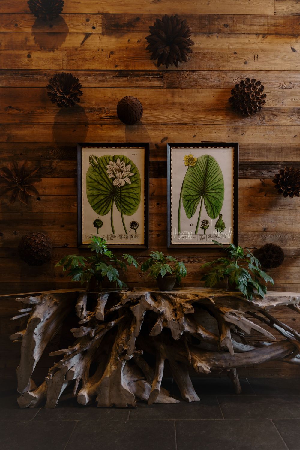 Botanical art prints hang on a rustic wood wall above natural driftwood decor and potted plants.