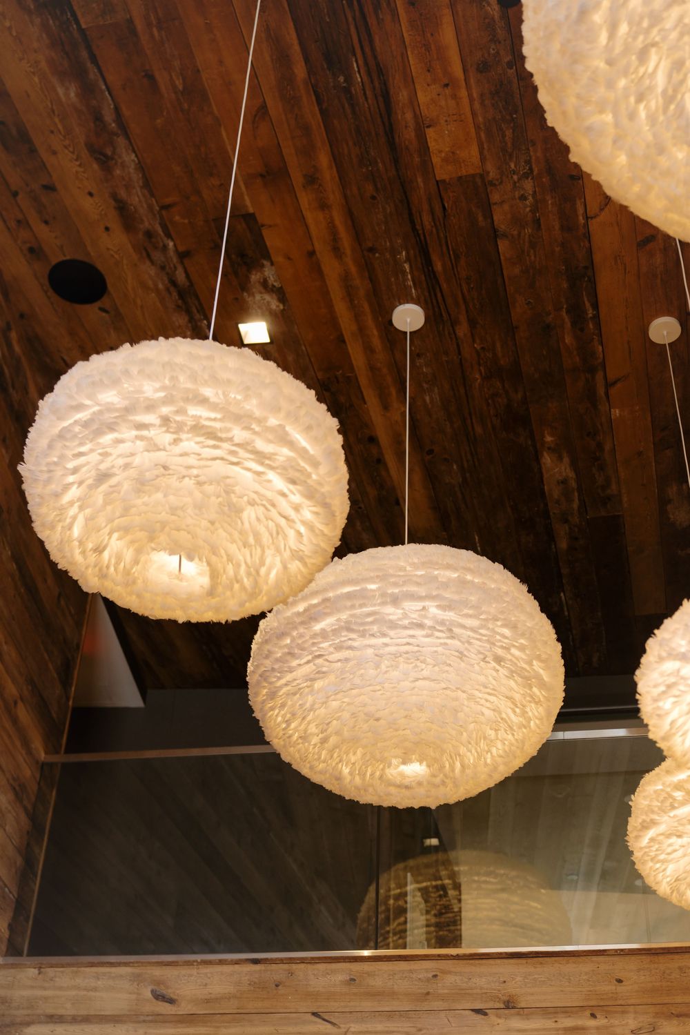 Modern white feathered pendant lights hang from a rustic wooden ceiling in a stylish interior design setting.