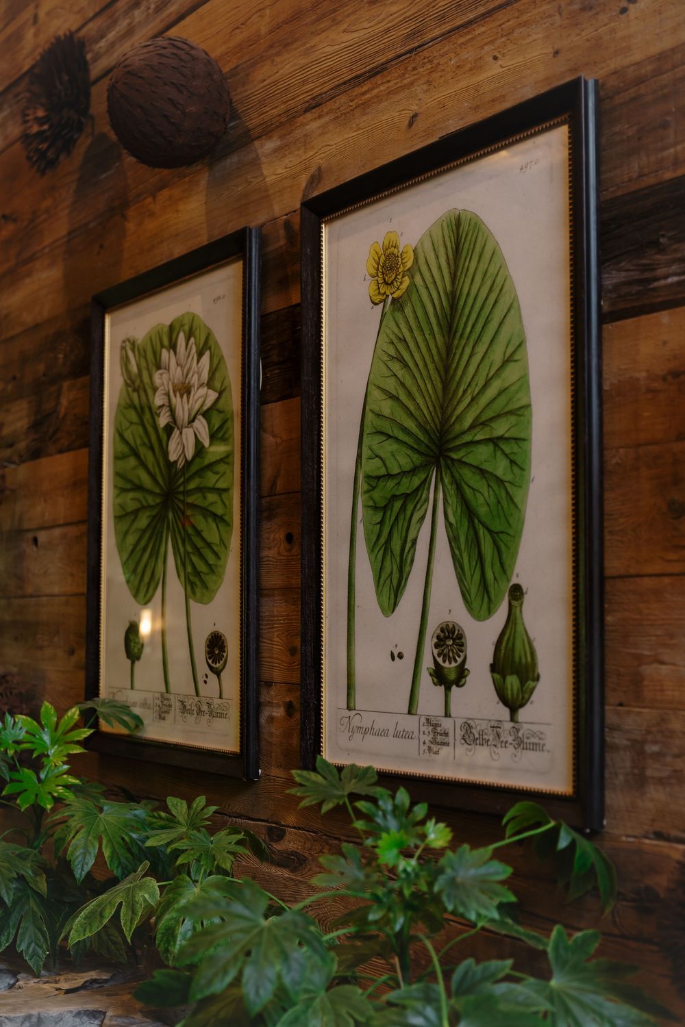 Framed botanical prints of green palm leaves hang on a rustic wooden wall above potted tropical plants.
