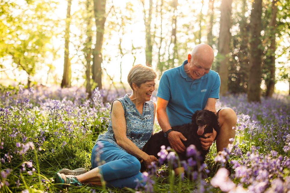 Couple relaxing in a blooming bluebell woodland during springtime.