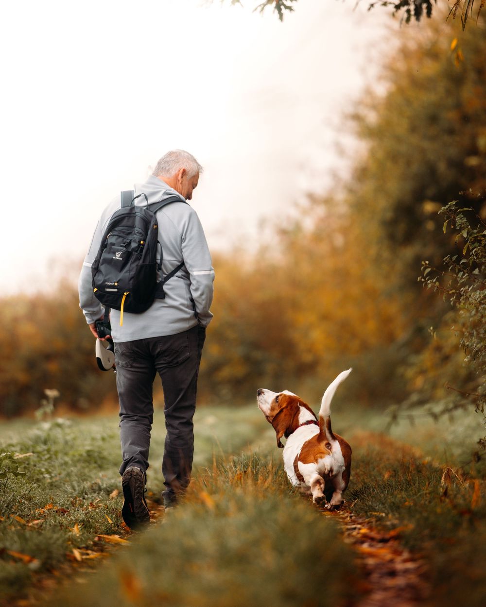 A person wearing a backpack walks along an autumn trail with their Basset Hound dog on a misty morning.