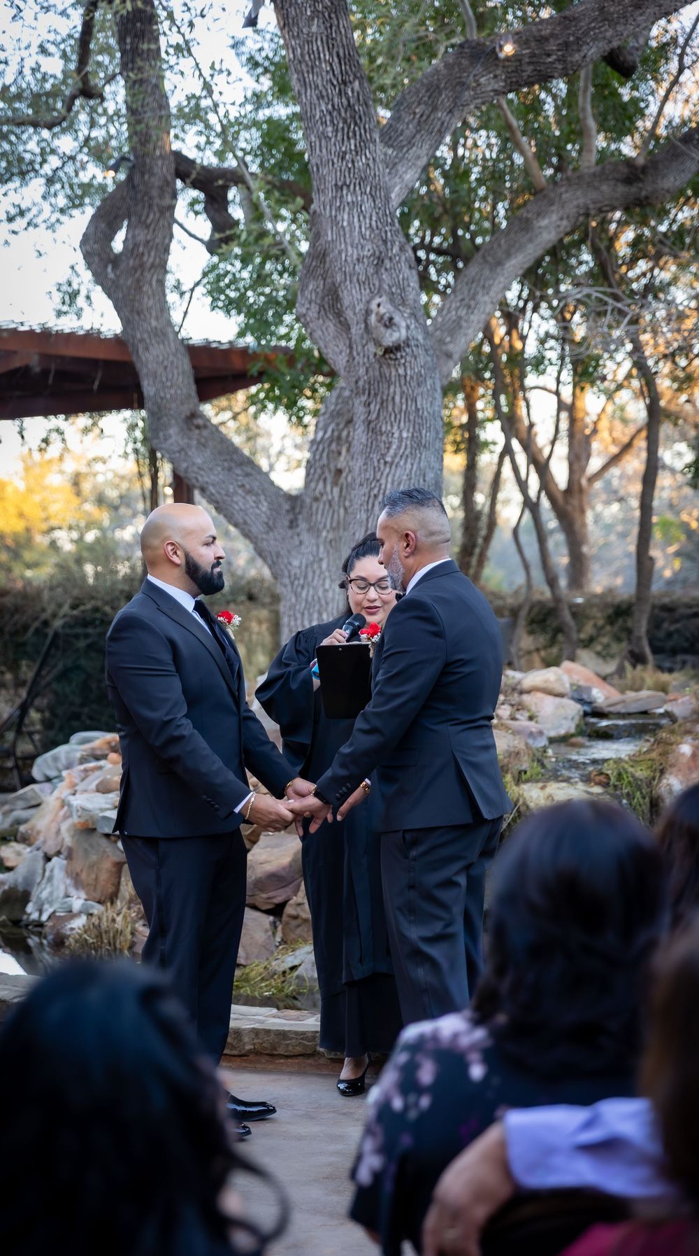 A wedding ceremony takes place outdoors under a large tree with guests seated and an officiant presiding over the service.