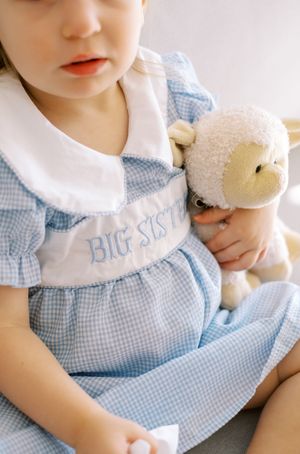 A child in a blue gingham dress embroidered with 'Big Sister' holds a small plush teddy bear toy.