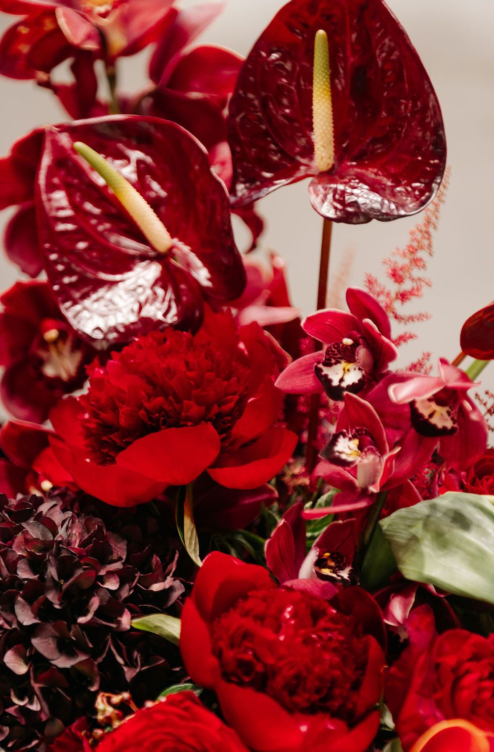 Deep red roses and carnations arranged in a luxurious floral display with dark burgundy accents and green foliage.