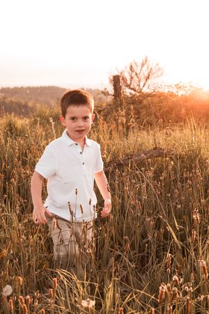 A young boy in a white shirt stands in a golden field at sunset, surrounded by tall grass and wildflowers.