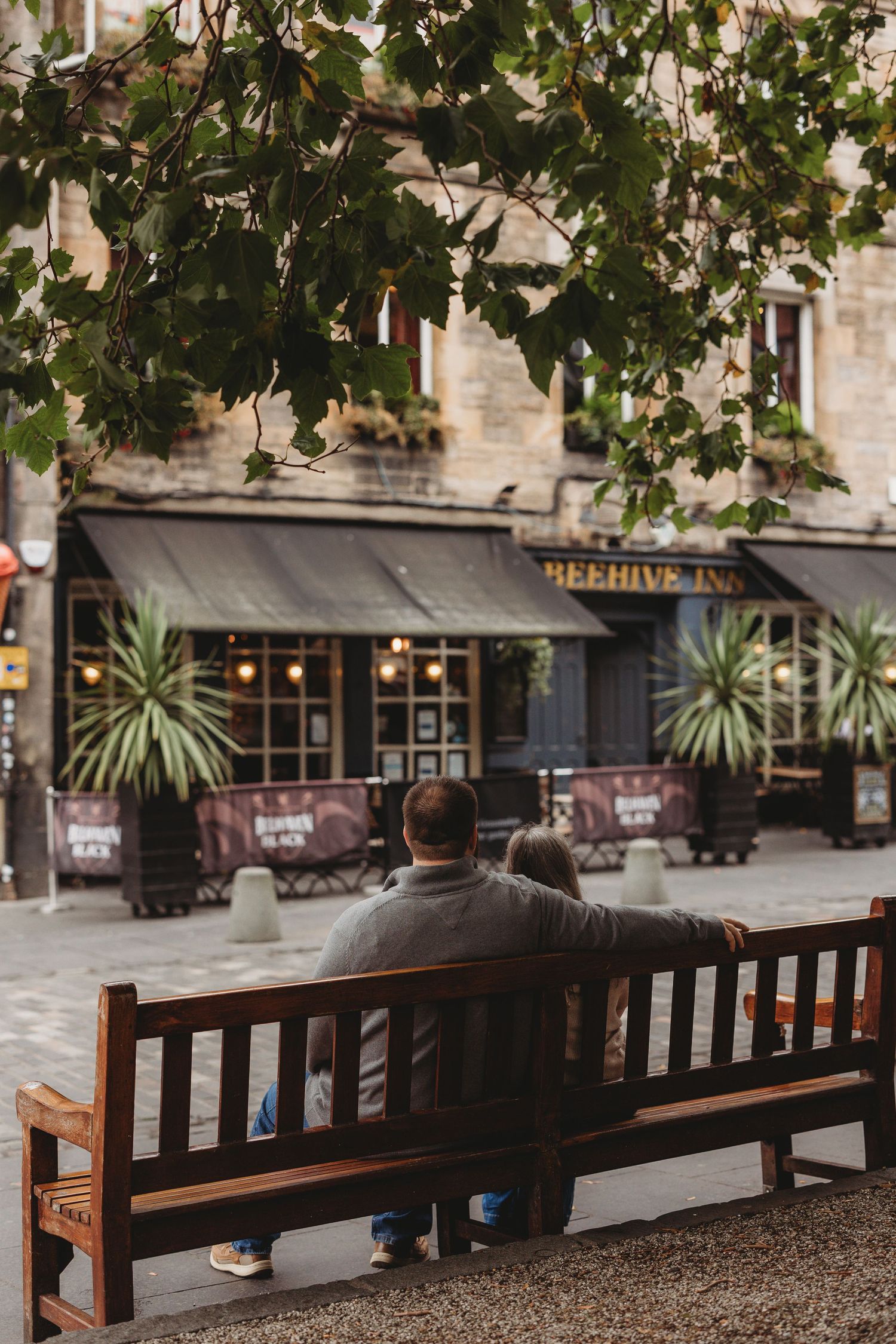 A wooden bench sits under green tree branches outside a stone building with storefronts in the background.
