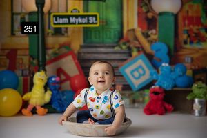 Sesame Street inspired photo backdrop with colorful toys and storefront scenery.