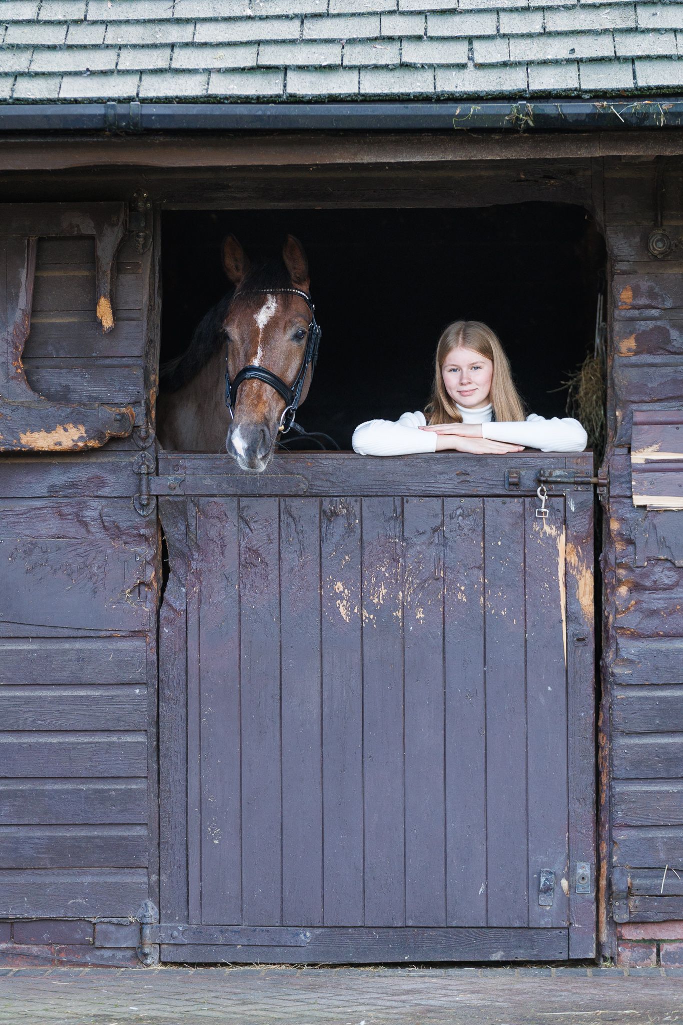 A sequence of four photos showing horses and people peeking playfully through stable windows at a rustic barn.