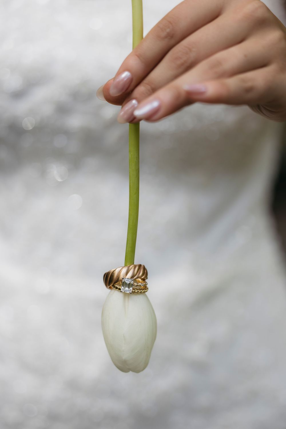 A close-up of a white tulip with wedding rings on it