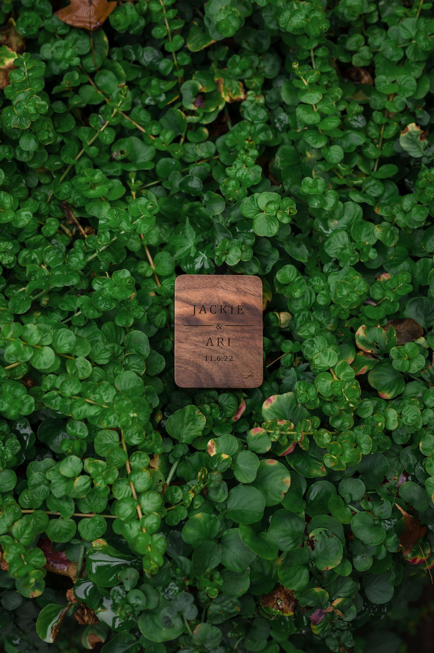 Small wooden name plates nestled among lush green clover leaves create a natural garden marker display.