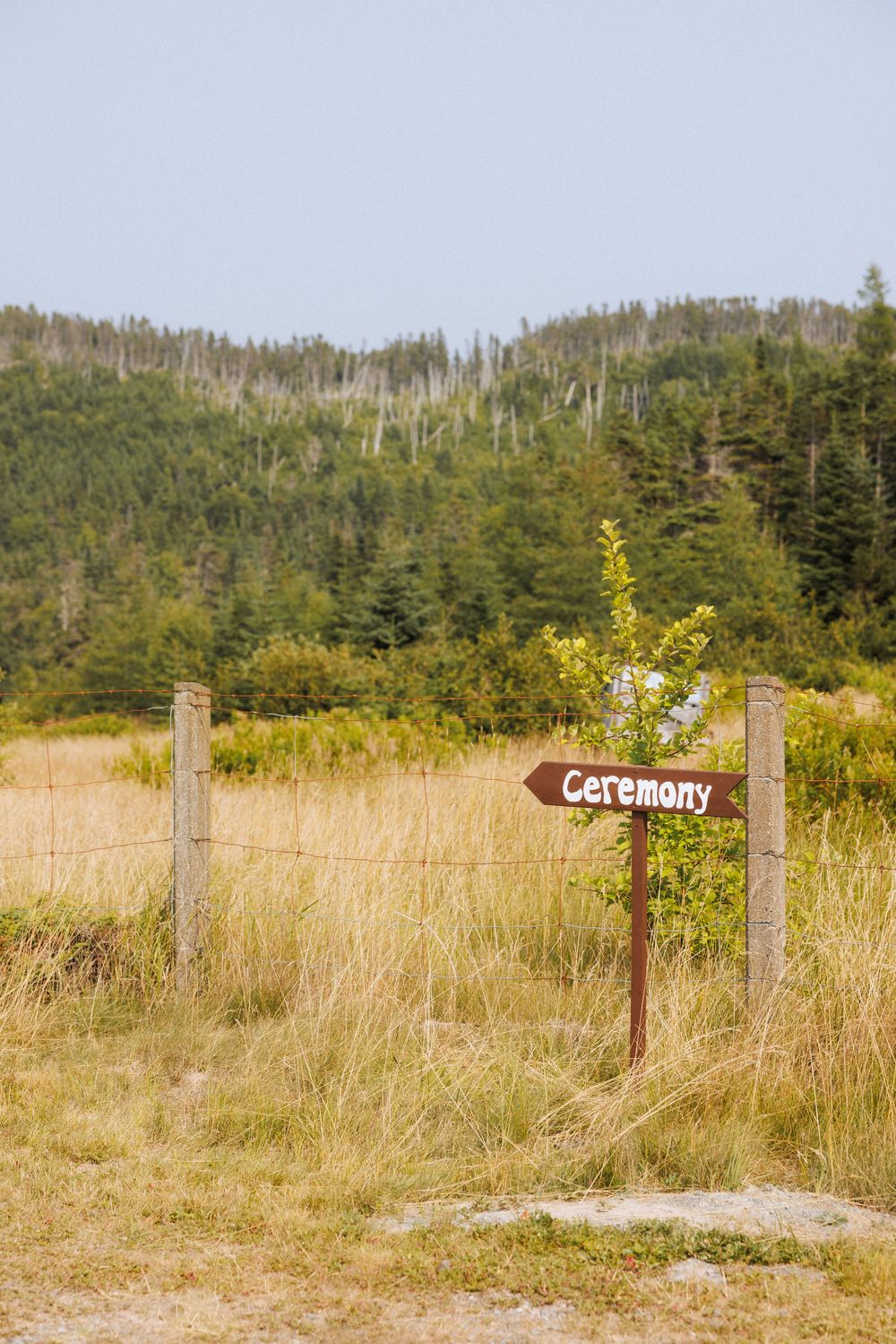 Outdoor ceremony on the Bonavista Peninsula by Newfoundland documentary style wedding photographer Kaitlyn Yvette