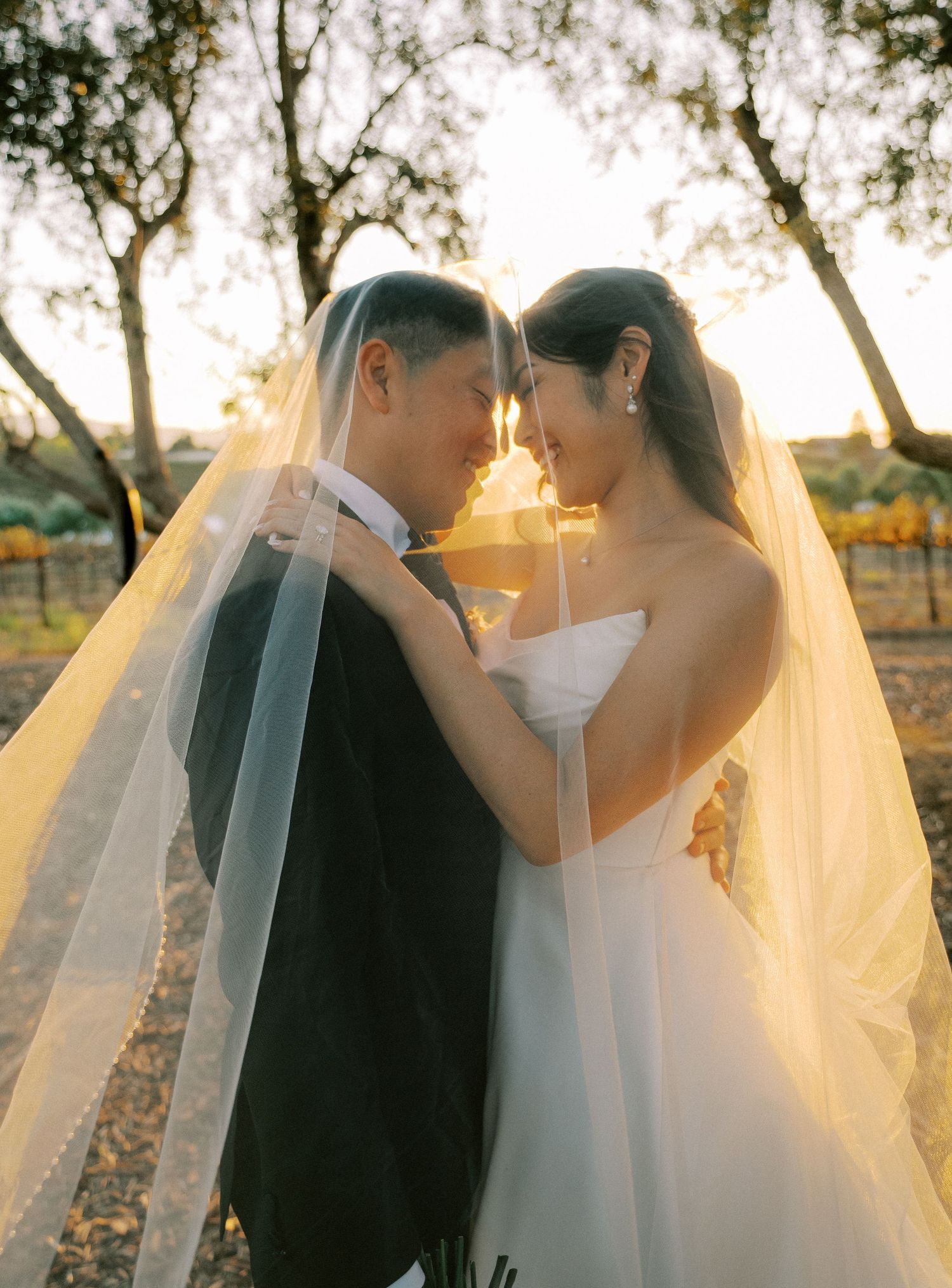 A romantic wedding couple embraces in golden sunlight beneath trees during sunset, with the bride's veil flowing in the breeze.