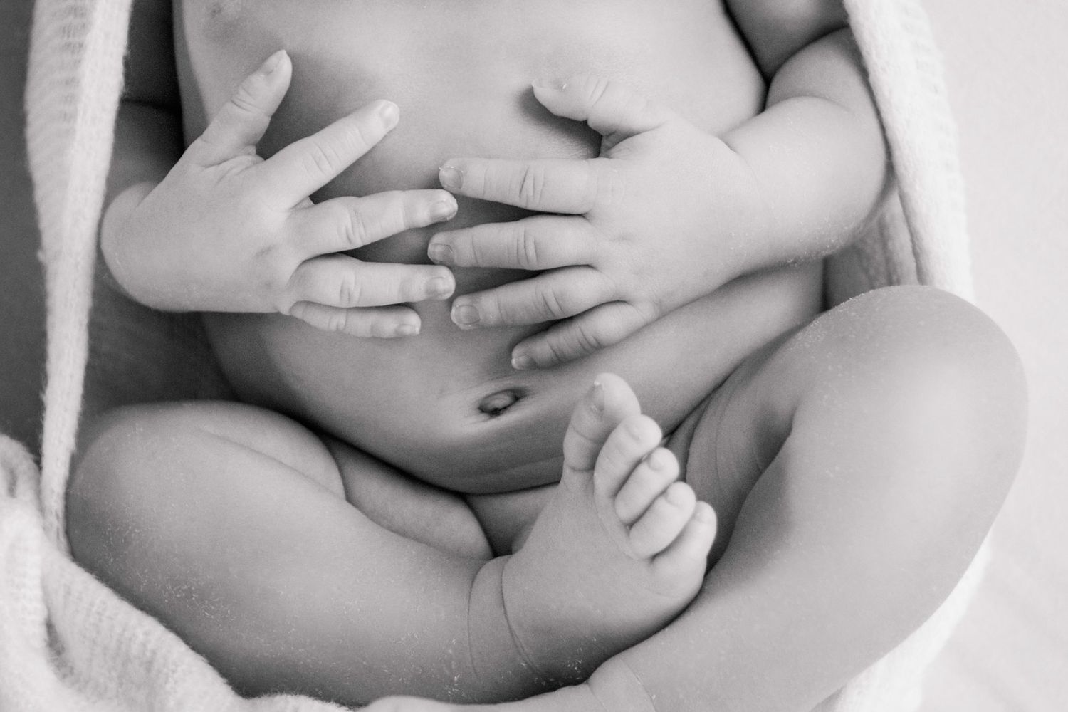 Timeless newborn hands and feet details taken in Tammy Lee Photography's North Auckland studio