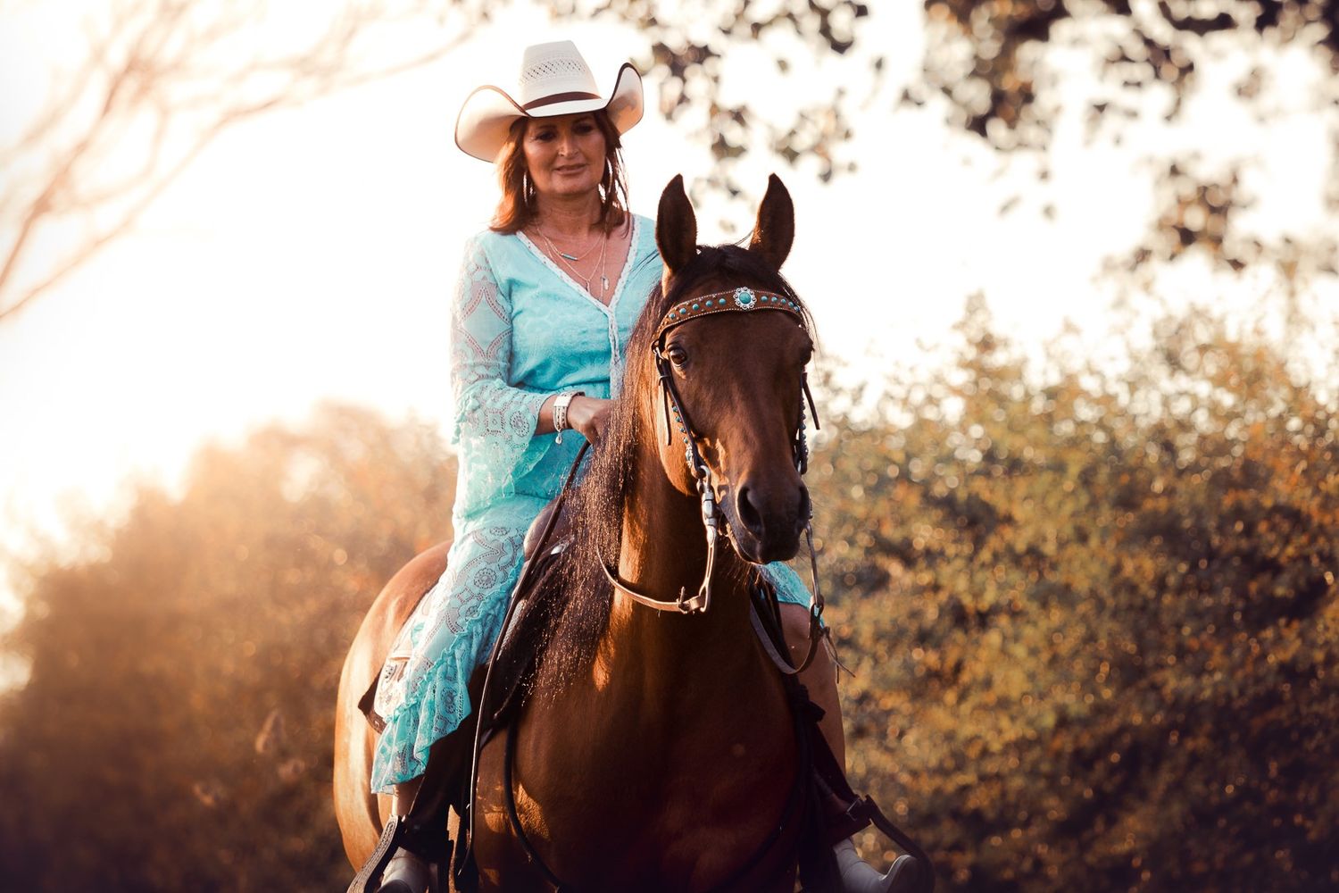 Equine photography in Belgium